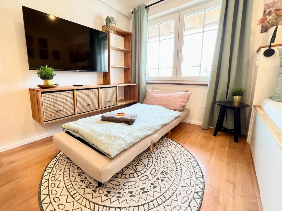 Stilvolles Mikroapartment In Kehl Goldscheuer - 1A Guesthouse المظهر الخارجي الصورة